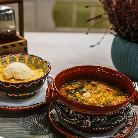 Pensiunea Viena Târgu-Mureş エクステリア 写真