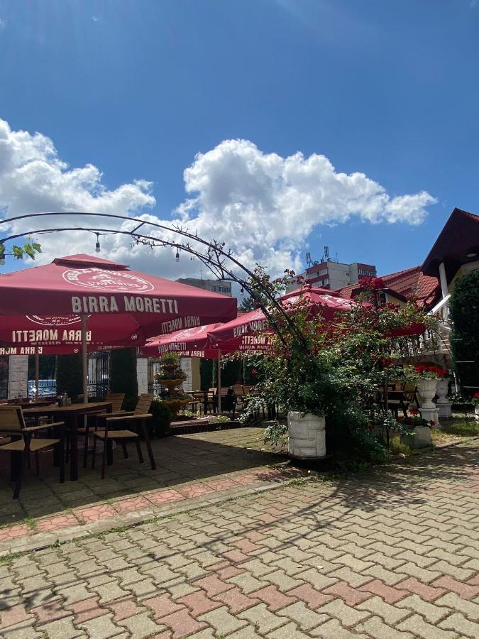 Pensiunea Viena Târgu-Mureş エクステリア 写真
